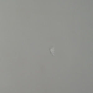 Meet your Posher, Fidel